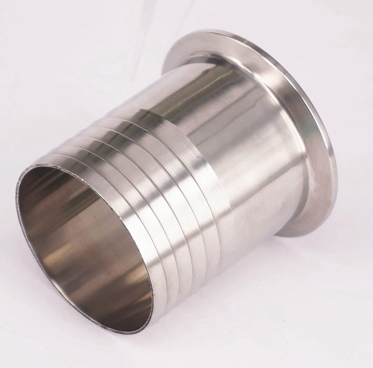 貴重、限定 オニサバルヤシ、ロングリーフ 100葉以上発芽 耐寒ヤシ